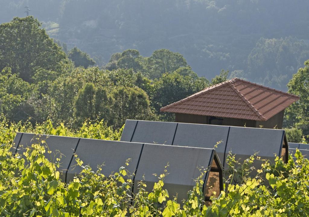 Cimo da Vinha - Nature Spot - 3