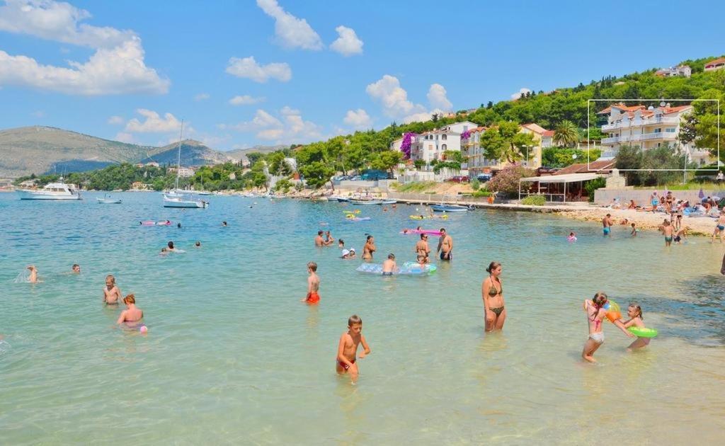 Príroda v okolí apartmánu