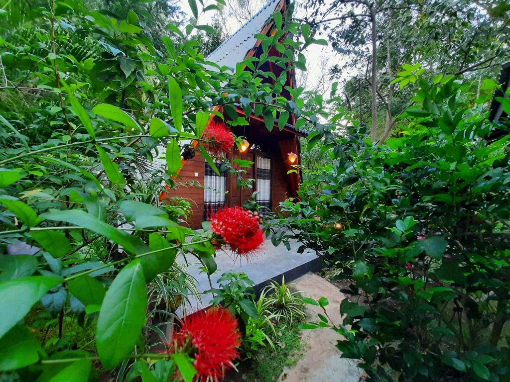 a small house with red flowers in front of it at The Otunna Guest House Sigiriya in Sigiriya