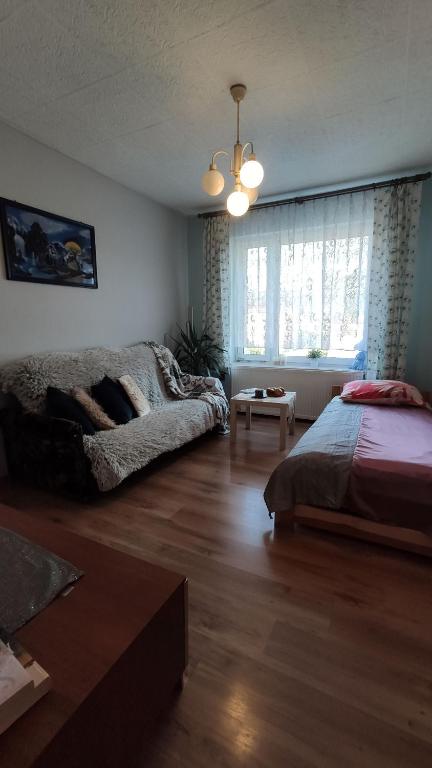 Posteľ alebo postele v izbe v ubytovaní Apartament Pilsko 1