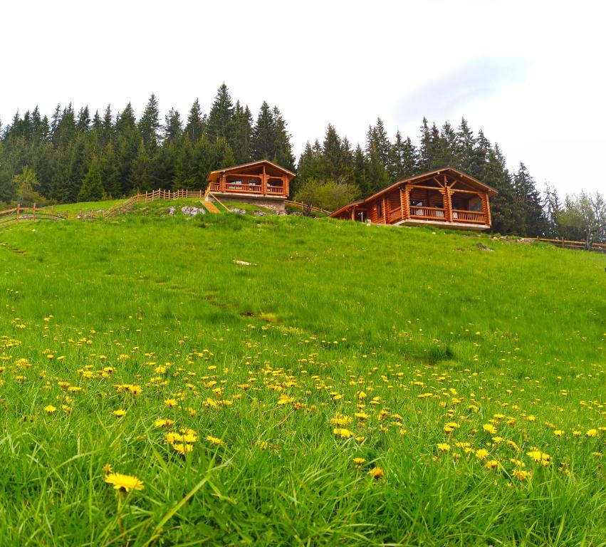 dos casas en una colina con un campo de flores en къщи за гости Под звездите, en Pamporovo