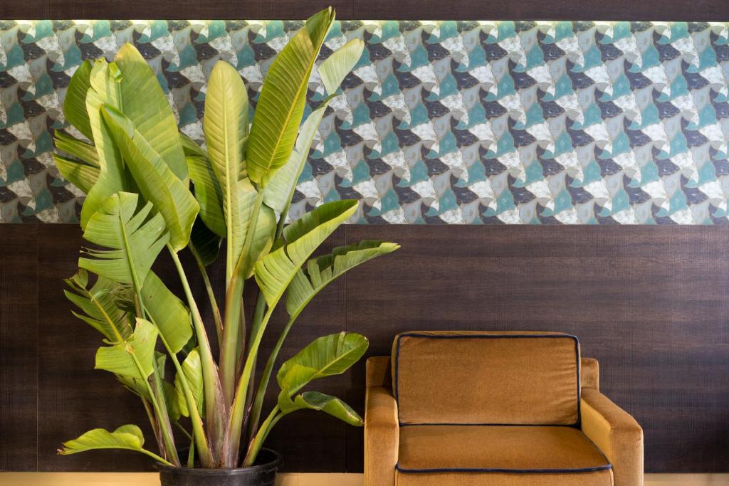 Hotel American-Dinesen - Resim 11