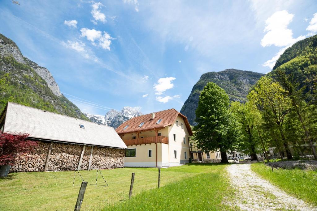 Příroda nedaleko apartmánu