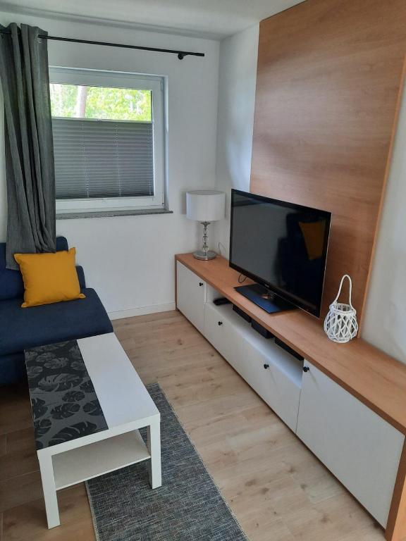Telewizja i/lub zestaw kina domowego w obiekcie Komfortowy apartament dwupoziomowy w cichej okolicy