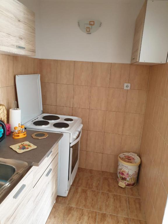 Kuchnia lub aneks kuchenny w obiekcie Apartment Jelena