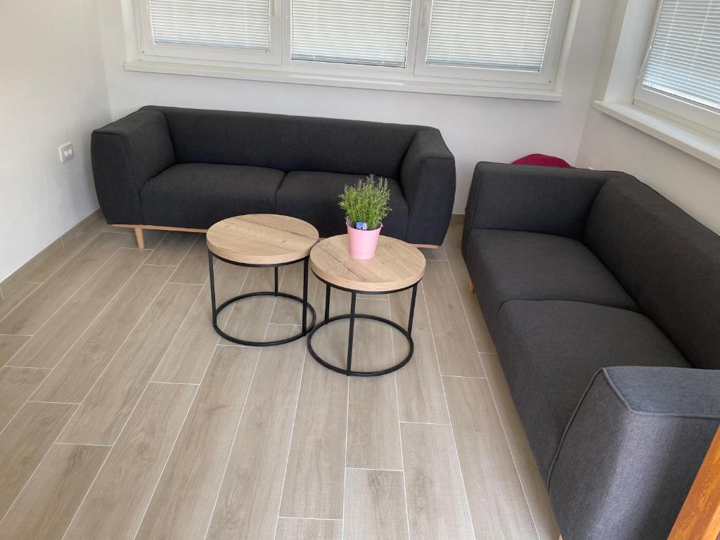 Villa Sanela - Apartment