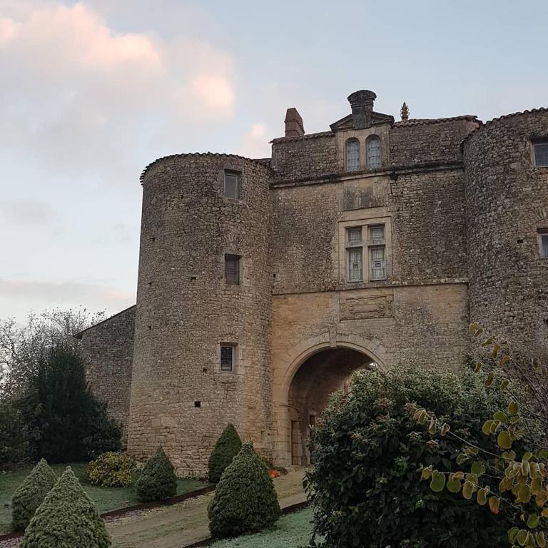 un vieux château avec une arche en face dans l'établissement Château de la Cressonnière, à Antigny