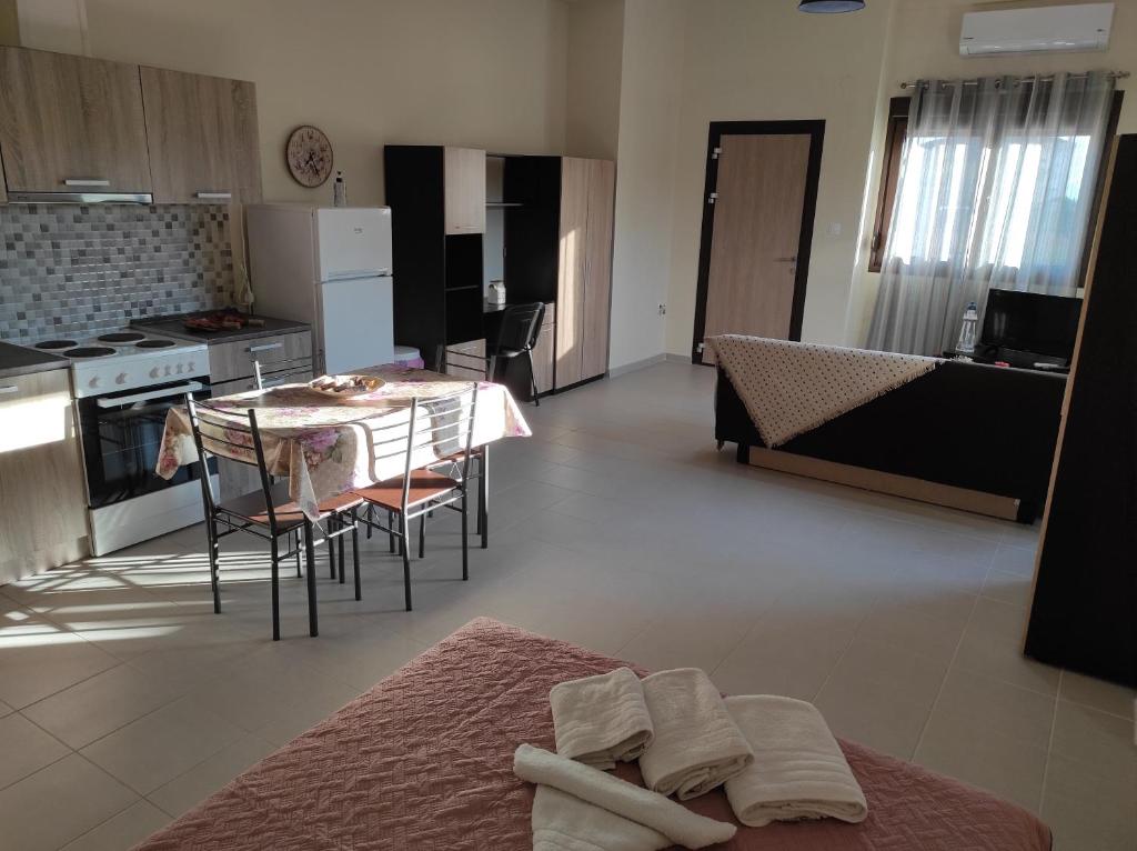 Кухня или мини-кухня в John's Apartments
