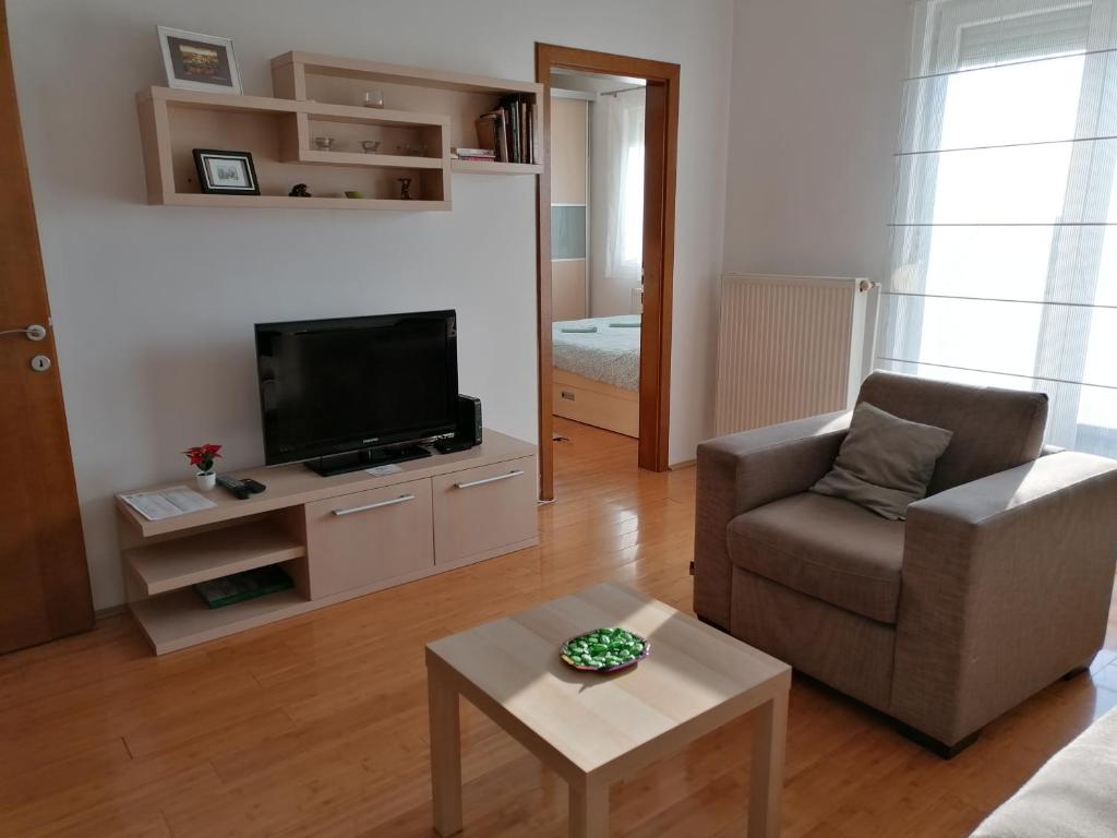 TV a/nebo společenská místnost v ubytování Apartman Breza