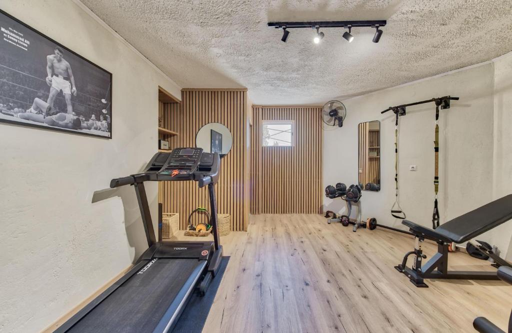 Fitness centrum a/nebo fitness zařízení v ubytování Pasithea Elegant Villa