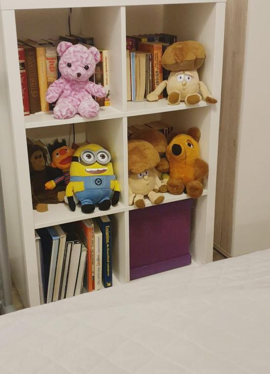 Knihovna v apartmánu