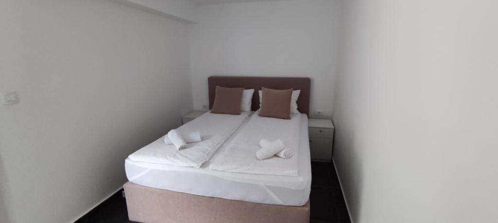 Zoran Apartments - 1