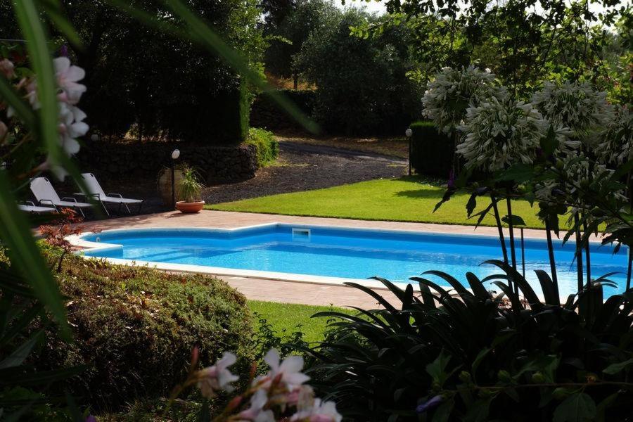 Bed and Breakfast Il Glicine - Comfort Vierpersoonskamer