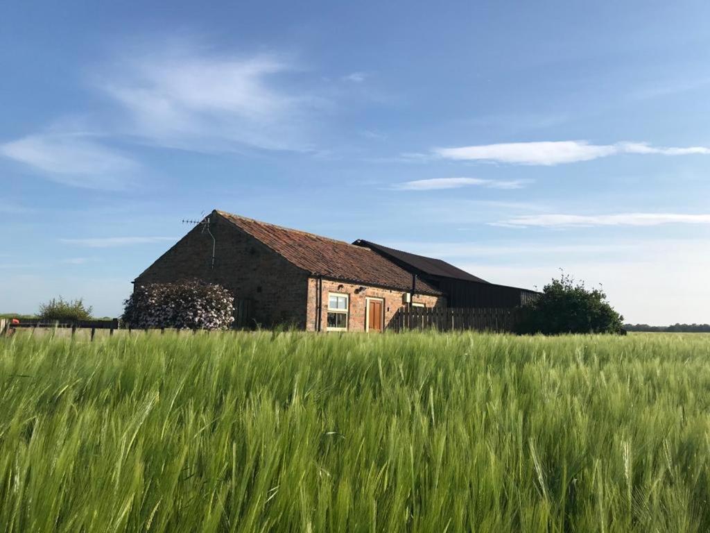 an old barn in the middle of a field at Little welham in Bedale