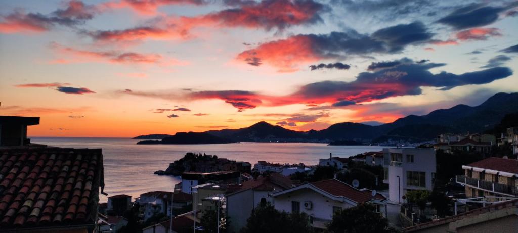 Zoran Apartments - 19