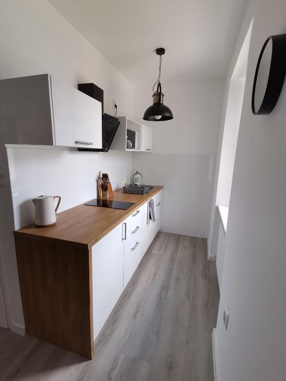 Kuchyňa alebo kuchynka v ubytovaní Kamienica nad Maltą- Mieszkania nad Jeziorem Maltańskim