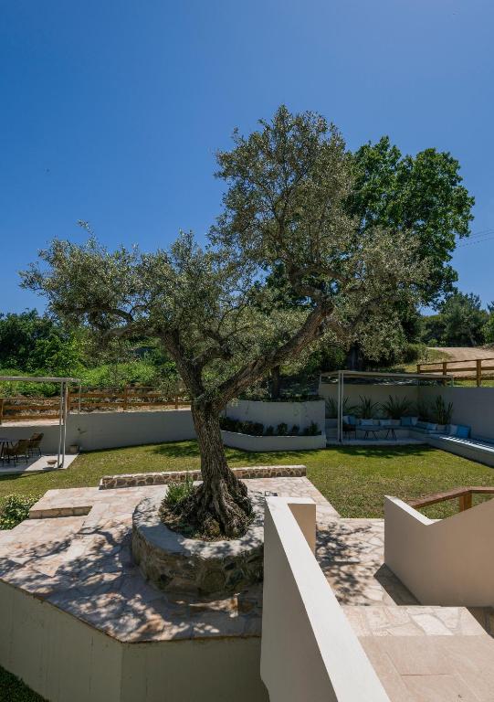 Zahrada ubytování Dionysus Apartments & Suites