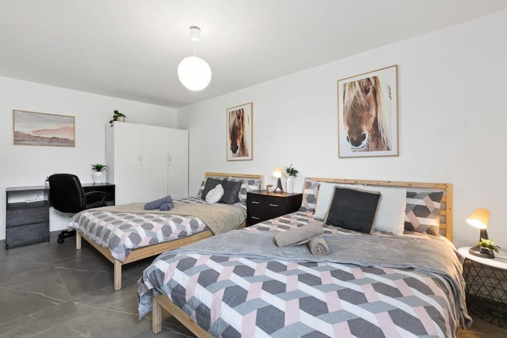 Quiet Private Room in Kensington near UNSW, Light railway&bus 2D