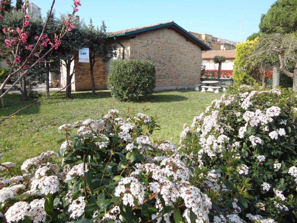 ポルト・サンタ・マルゲリータ・ディ・カオルレにあるHoliday home in Porto Santa Margherita 24771の白い花の庭園