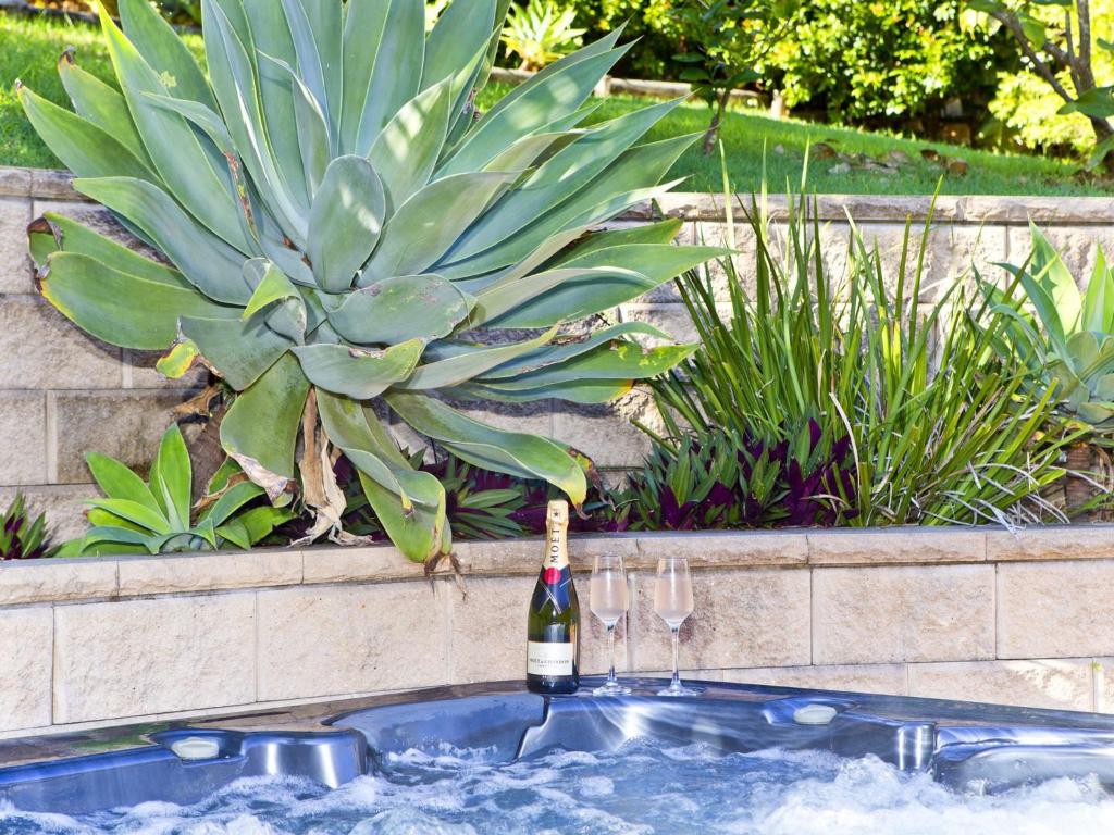 a bottle of champagne in a bathtub with a plant at Fingal Escape 28 Bent St in Fingal Bay