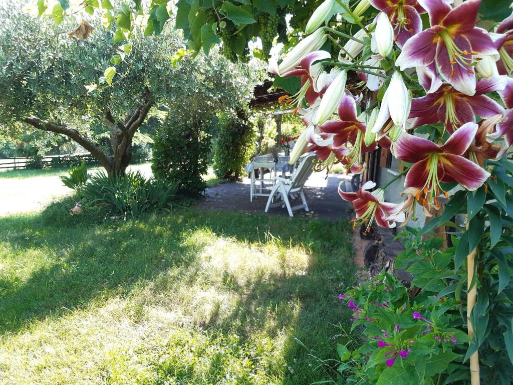 Ogród w obiekcie Cottage in Crespano with River Rafting