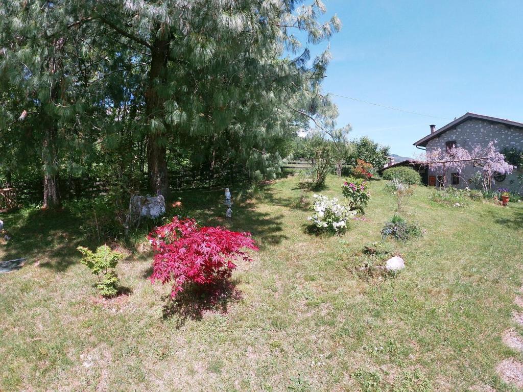 Ogród w obiekcie Cottage in Crespano with River Rafting
