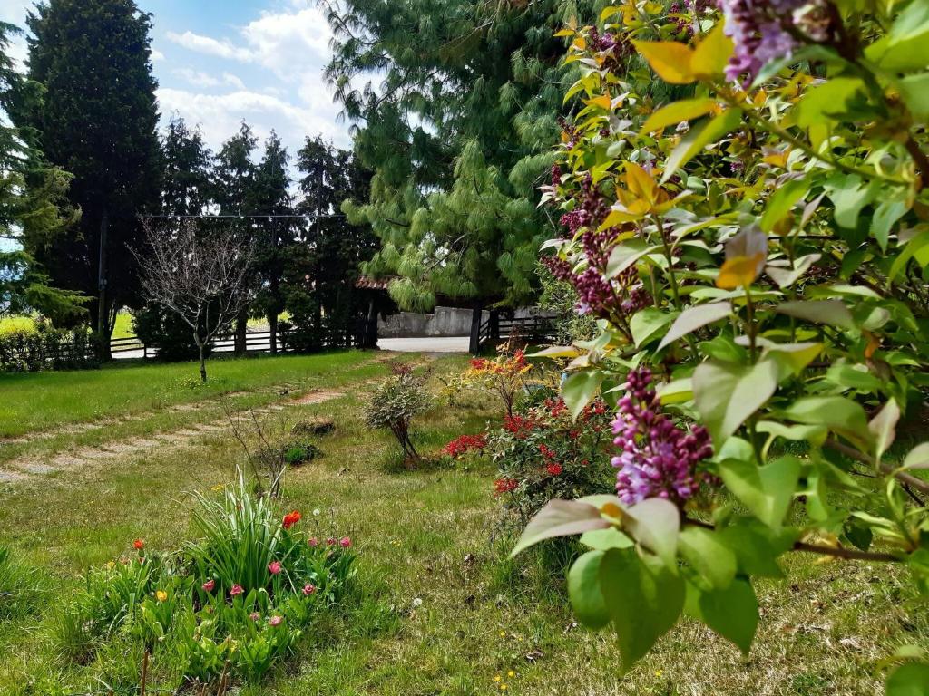 Ogród w obiekcie Cottage in Crespano with River Rafting