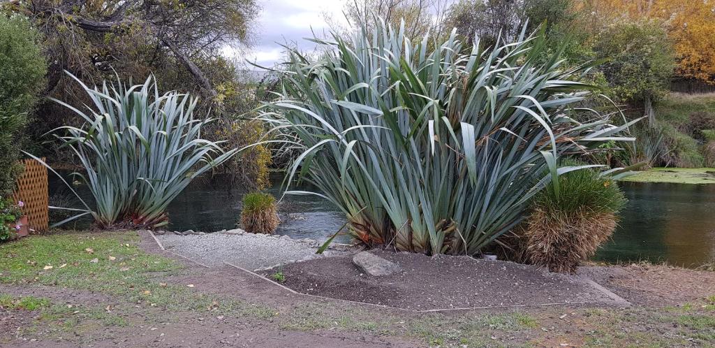 Spring Creek Holiday Park - Resim 31