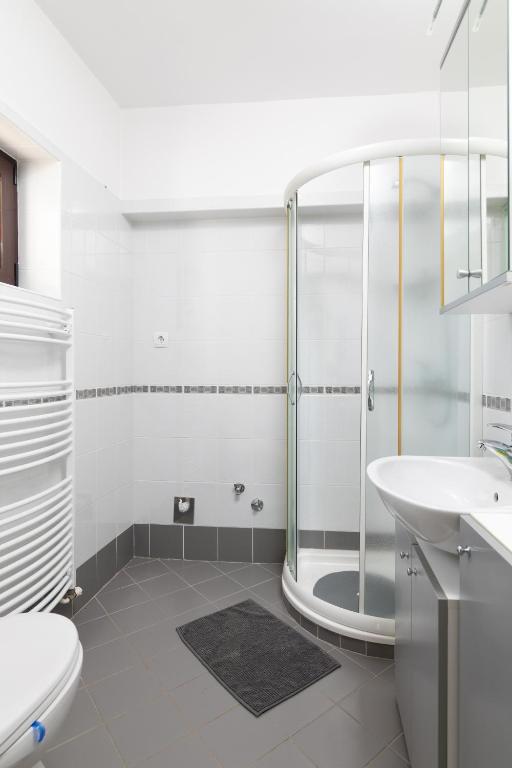 Apartments Livun Tuheljske Toplice - Penthouse Apartment