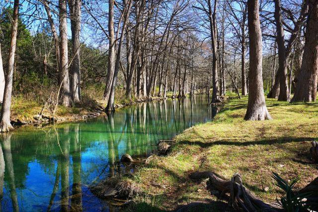 a river in a wooded area with green water and trees at Deer Run- Creekhouse in Wimberley