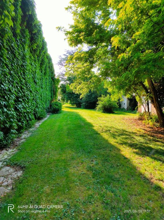 Vonkajšia záhrada v ubytovaní B&B Corte Vo Grande