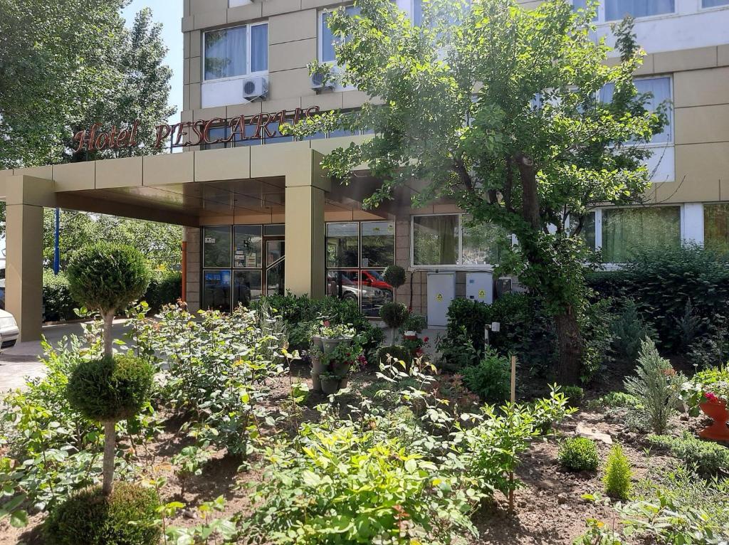 Zahrada ubytování Hotel Pescarus