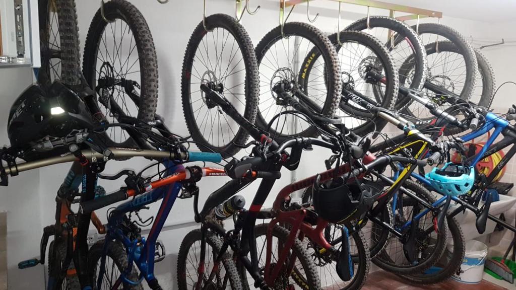 Jízda na kole v ubytování Hotel Paganella nebo okolí