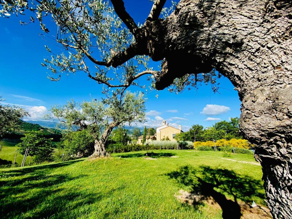 Ogród w obiekcie agriturismo borgo del ginepro