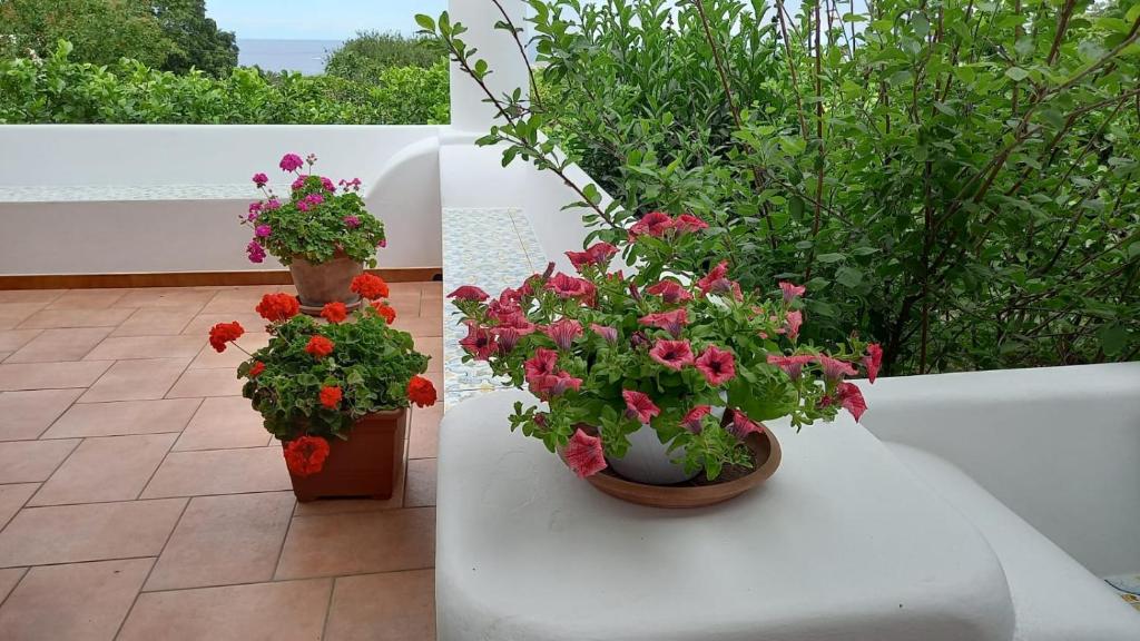 Zahrada ubytování Agriturismo SoleMare