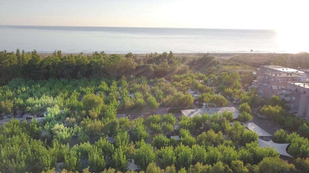 una vista aerea di un bosco di alberi vicino all'acqua di Camping & Residence Il Pioppeto a Vasto