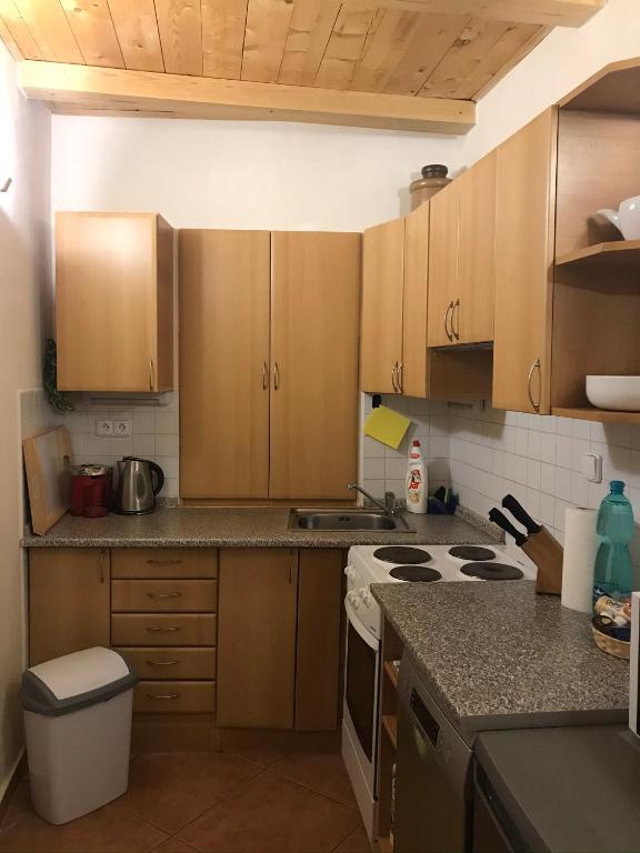 a kitchen with wooden cabinets and a stove top oven at Apartment Sadova in Karlovy Vary