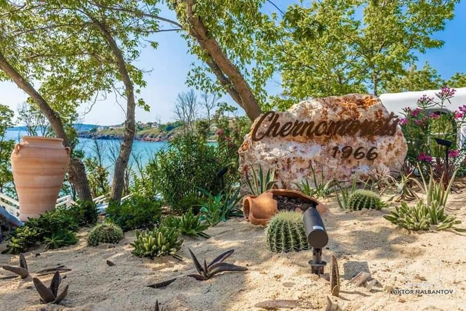 a garden with cacti and a sign in the sand at Captain's Island Deluxe in Chernomorets