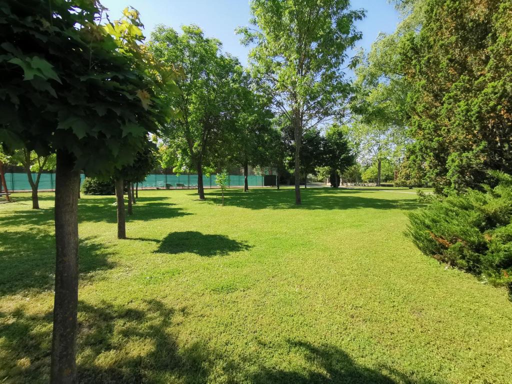 Zahrada ubytování Laguna Panzió