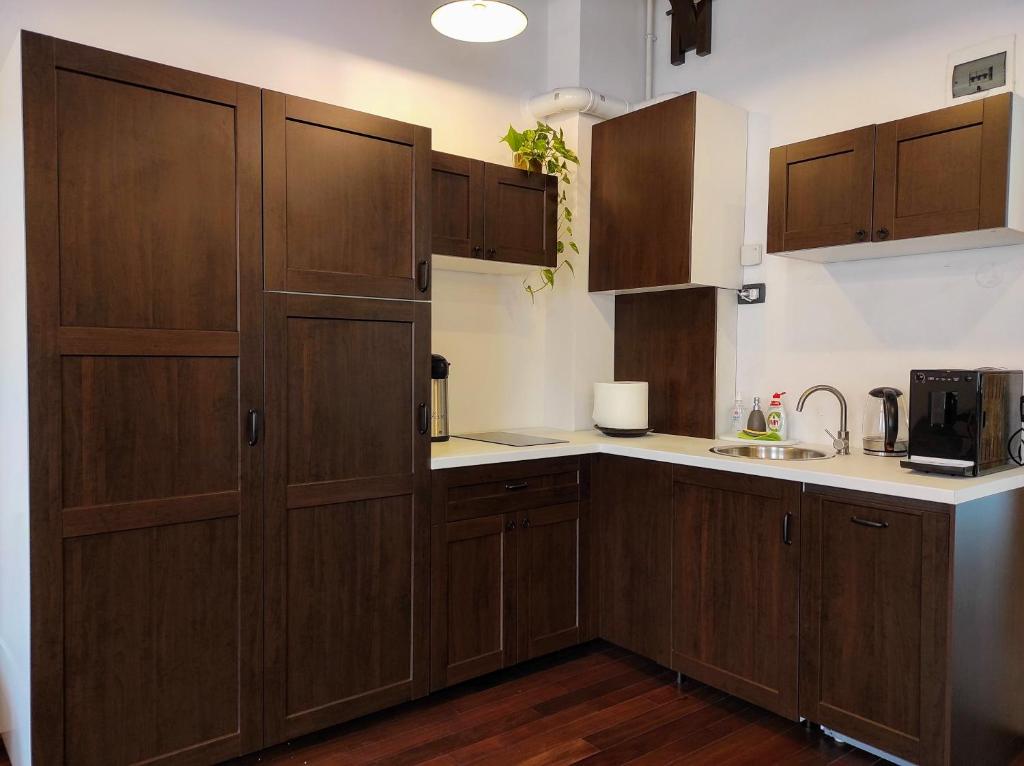 Kuchyň nebo kuchyňský kout v ubytování Casa Dávid Ferenc Ház