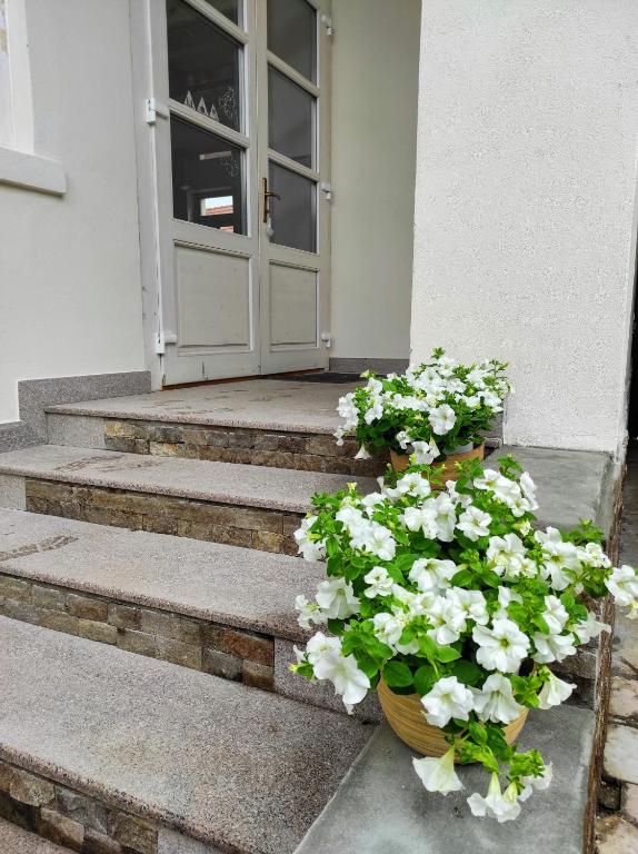 Fotografie z fotogalerie ubytování Casa Dávid Ferenc Ház v destinaci Deva