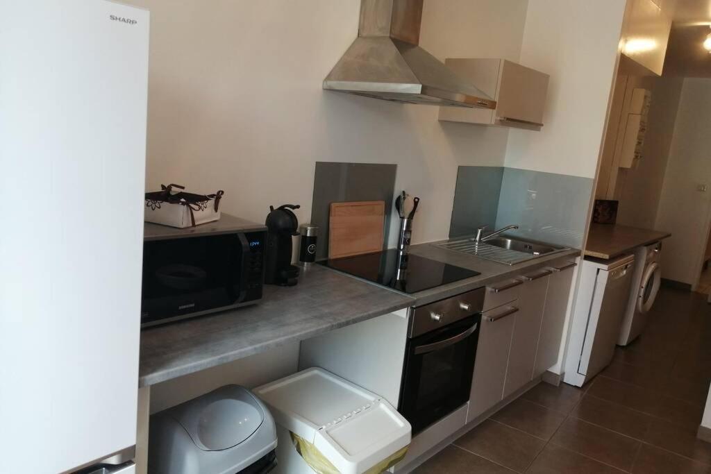 Kuchyň nebo kuchyňský kout v ubytování Appart'Hôtel Lagnieu