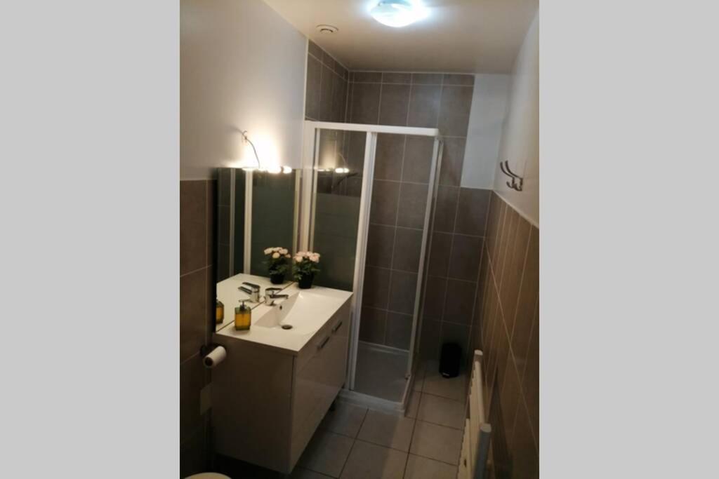 Koupelna v ubytování Appart'Hôtel Lagnieu