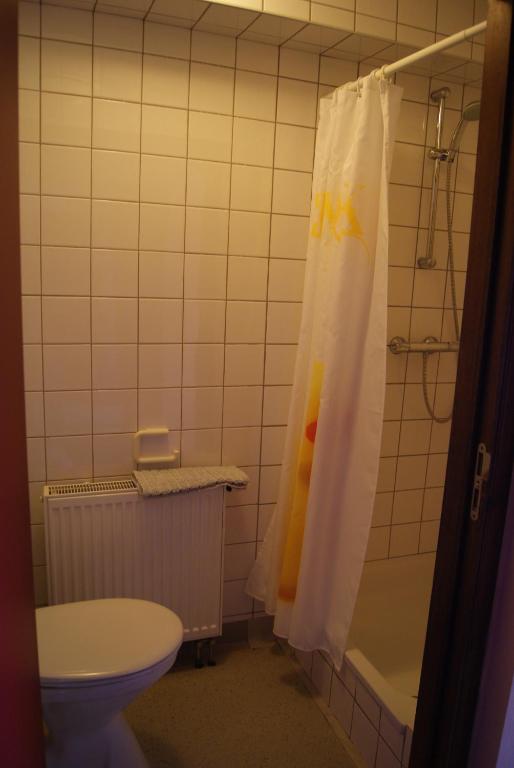 Koupelna v ubytování Chaityfontaine