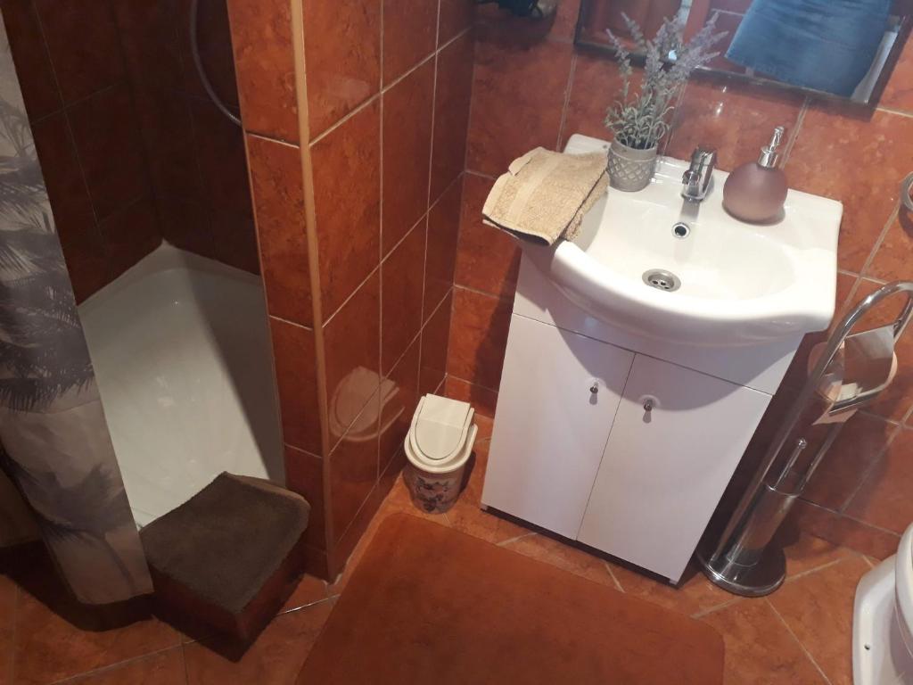 Koupelna v ubytování Tóvárosi apartman