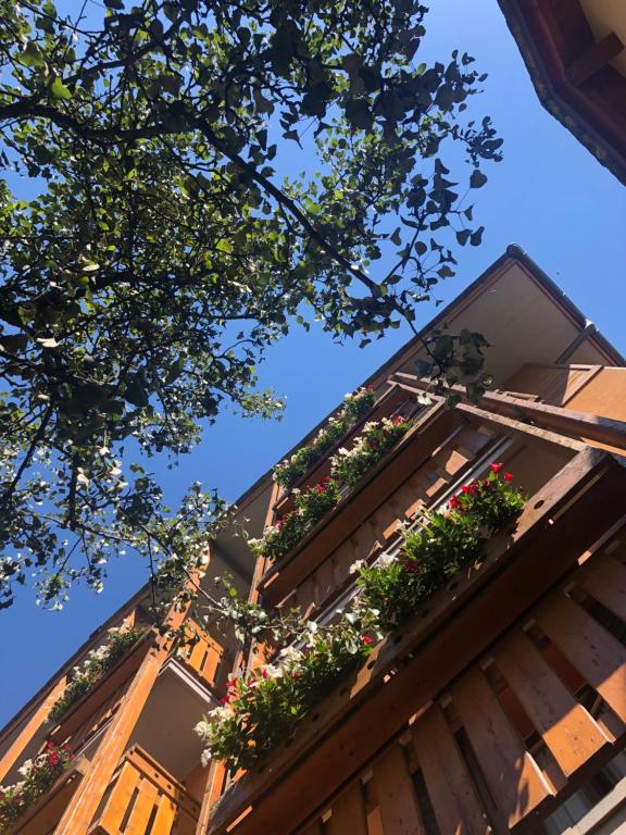 a building with flower boxes on the roof at Hotel Moizi in Chiesa in Valmalenco