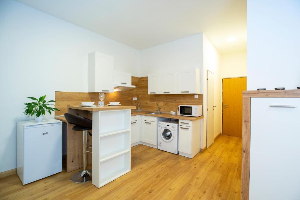 Kuchyň nebo kuchyňský kout v ubytování Agro Complex Apartments