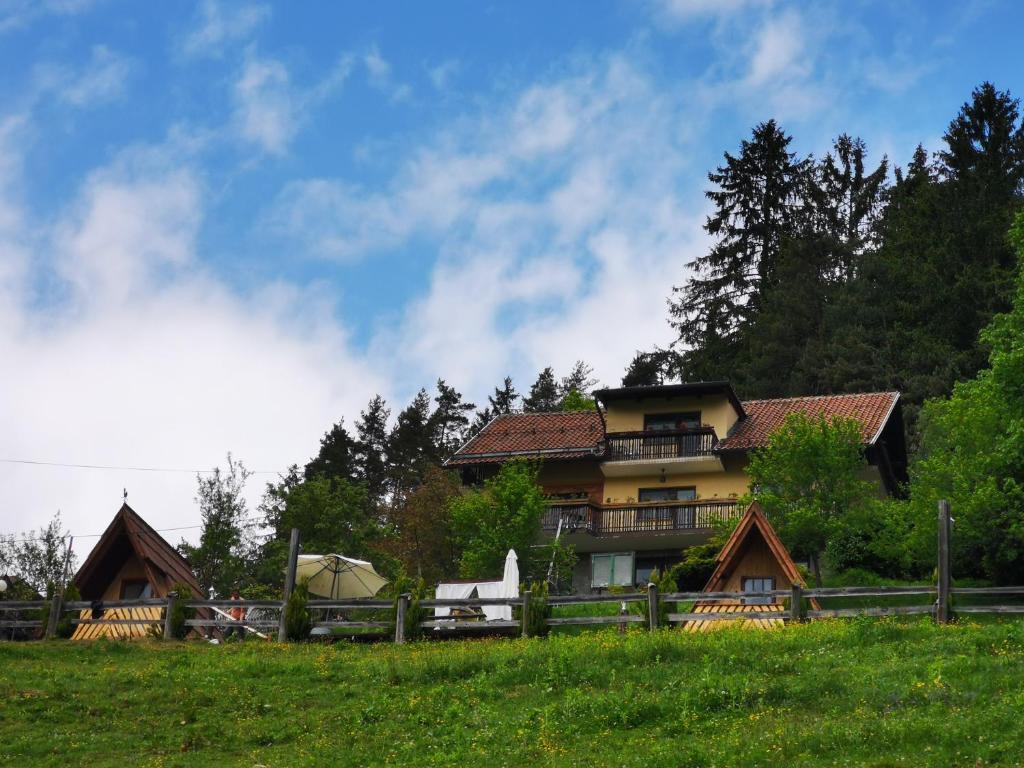 Příroda nedaleko luxury tent