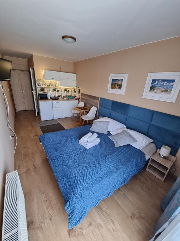 ミエンジズドロイェにあるWilla Zachodni Brzegのベッドルーム(青いベッド1台、青い毛布付)