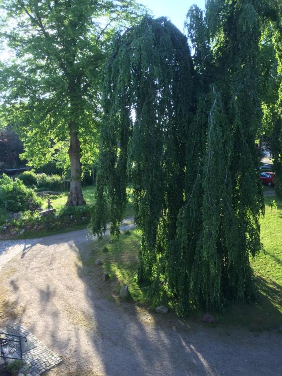 Herrenhaus Hohewarte - 19